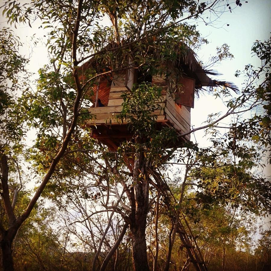 Rumah Pohon Batununggul エクステリア 写真