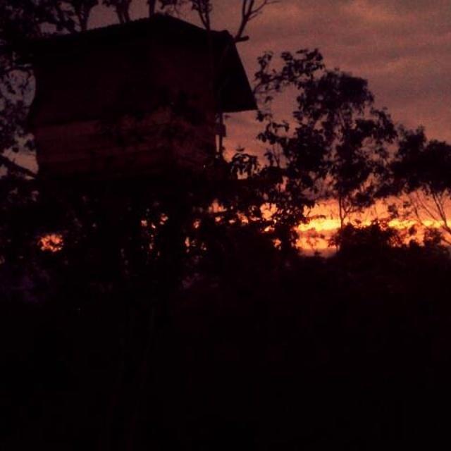 Rumah Pohon Batununggul エクステリア 写真