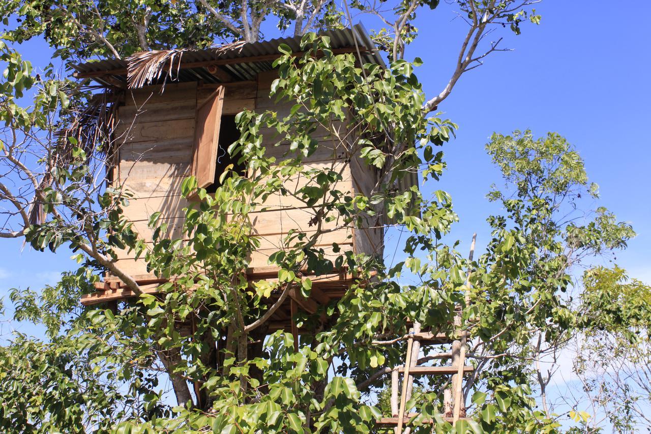 Rumah Pohon Batununggul エクステリア 写真