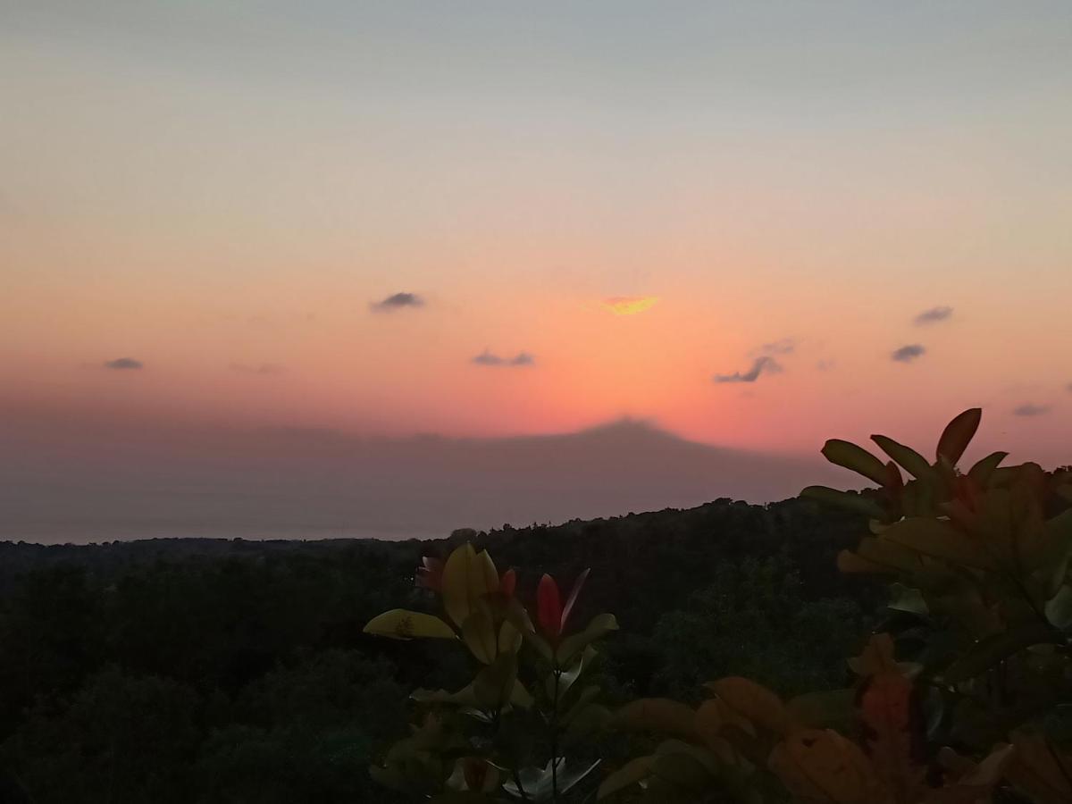 Rumah Pohon Batununggul エクステリア 写真